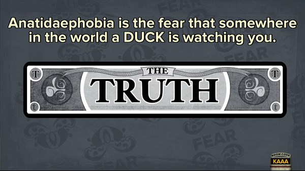 Fibbage: The Hilarious Bluffing Party Game — 8
