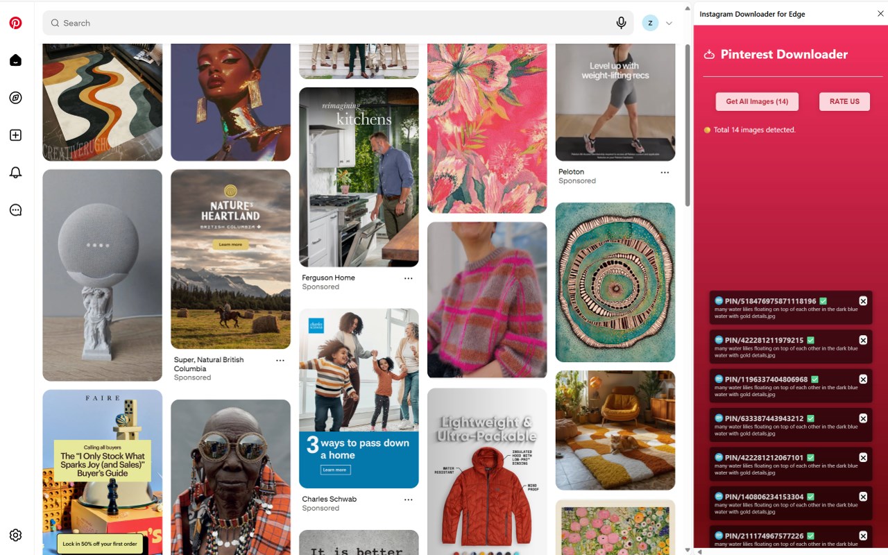 Pinterest Downloader