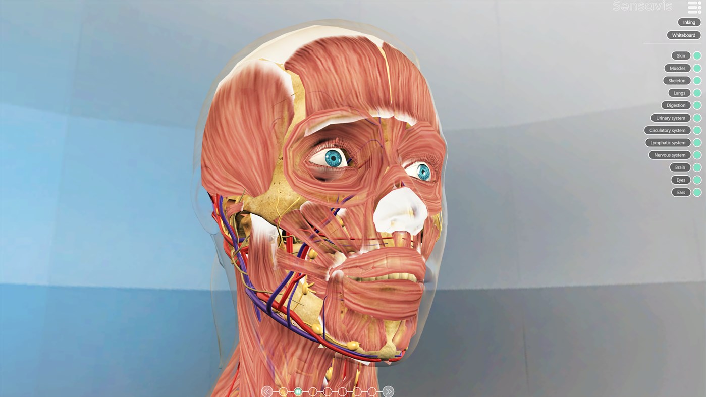 #2. Sensavis Visual Learning Tool (Windows) 由: Sensavis AB