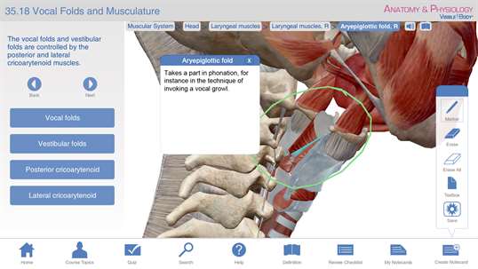 Anatomy & Physiology - Learn Anatomy Body Facts - Study Reference for Health Care Practitioners and Health & Fitness Professionals screenshot 5