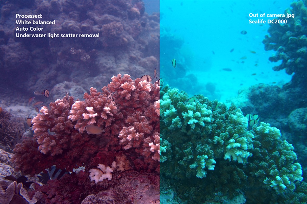 #6. Image Raw (Windows) Por: FredsToolbox