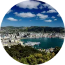 Wellington Wallpaper New Tab icon