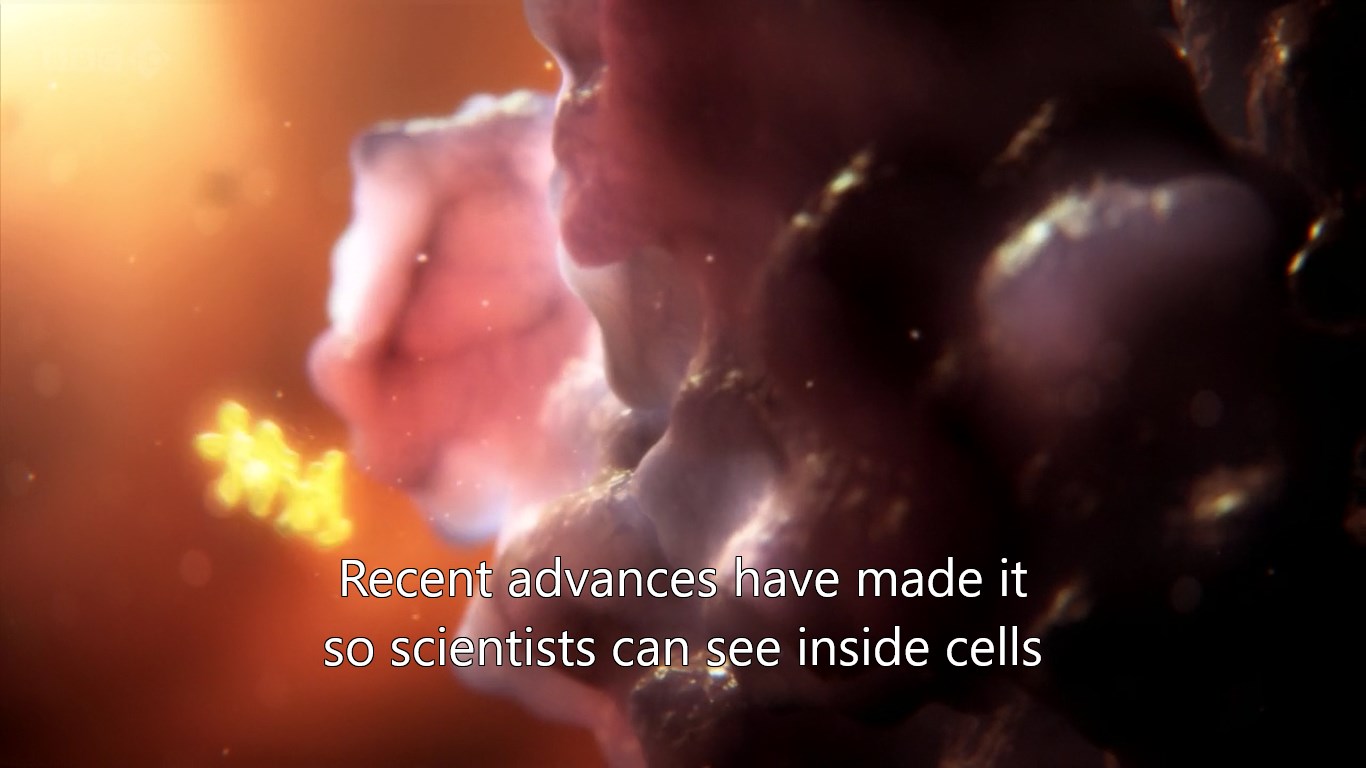 FLV Player for Windows 10