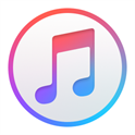 iTunes iTunes