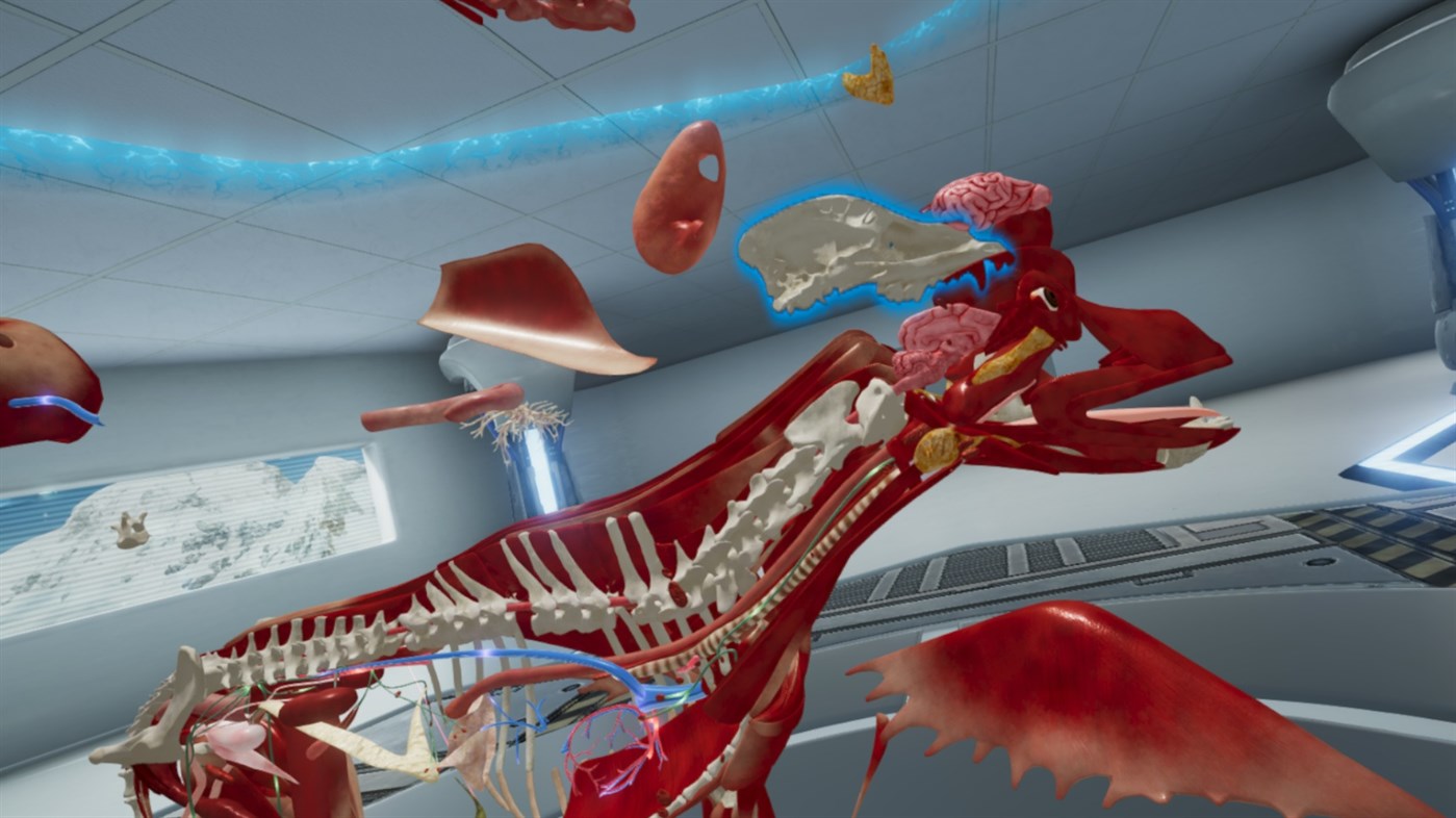 #7. JetsonVR (Windows) Podle: LlamaZOO Interactive Inc.