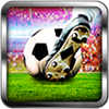 Football Worldcup 2015