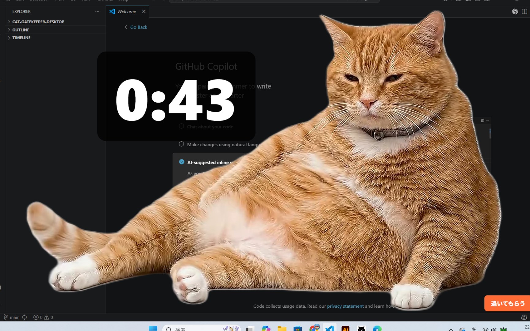 Cat Gatekeeper screenshot