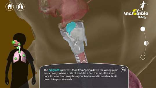 My Incredible Body — A Kid's App to Learn about the Human Body screenshot 8