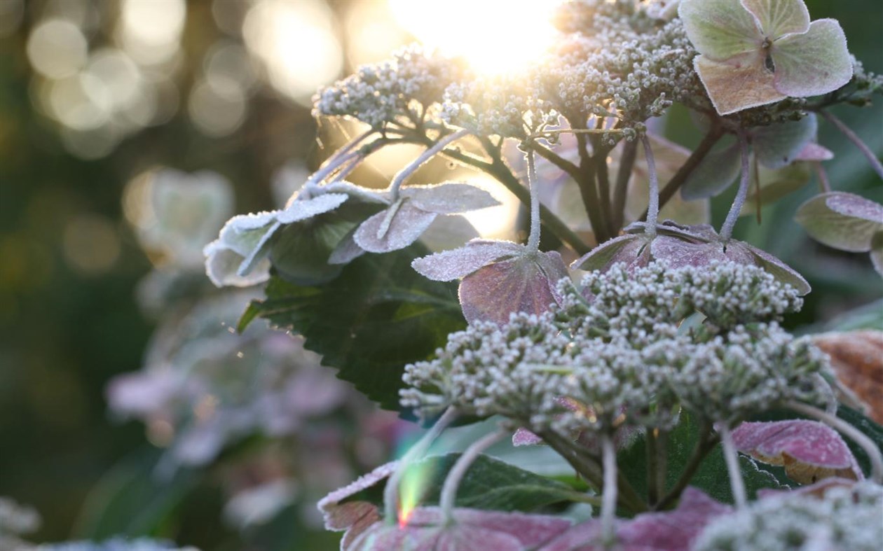 #3. Frost Macros by Duncan Lawler (Windows) Podle: Microsoft Corporation