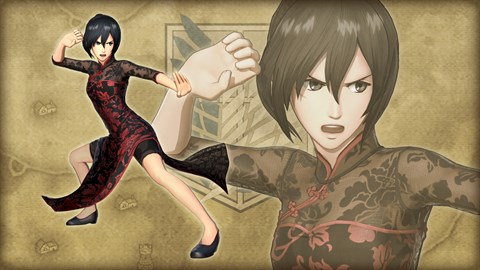 Additional Mikasa Costume, Chinese Dress