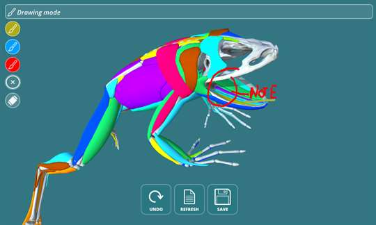 Visual Anatomy - Frog screenshot 4