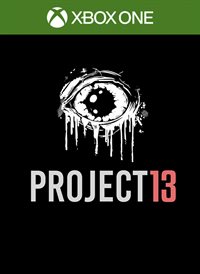 PROJECT 13