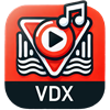 VideoDownloaderX