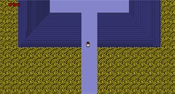 The Time Watcher