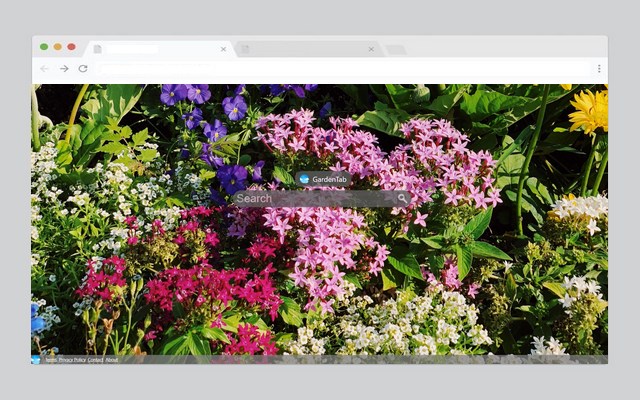 GardenTab : Get lost in the beauty of nature.