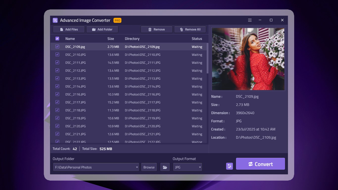 Image Converter - RAW to JPG, Batch Image Converter screenshot