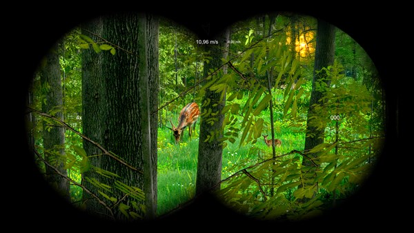 Wild Hunter: Sniper Rifle Adventures Simulator — 13
