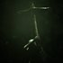 Outlast 2