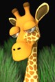 Giraffe Town