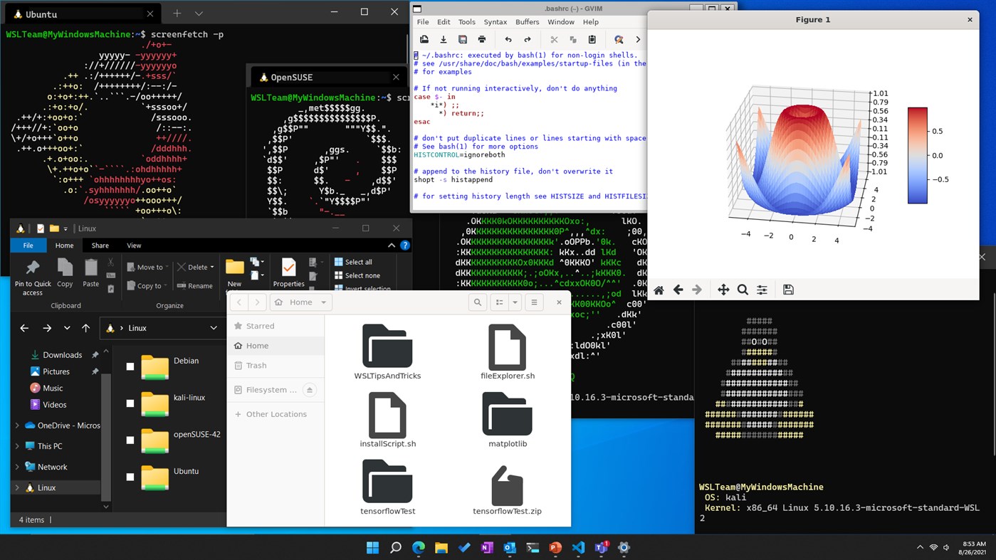 #3. Windows Subsystem for Linux (Windows) By: Microsoft Corporation