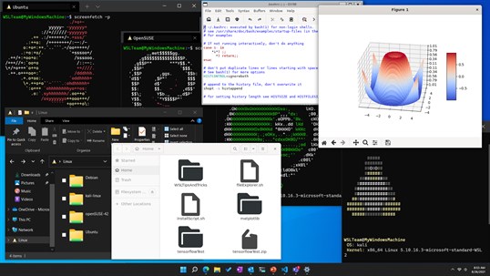 Windows Subsystem for Linux Preview screenshot 3