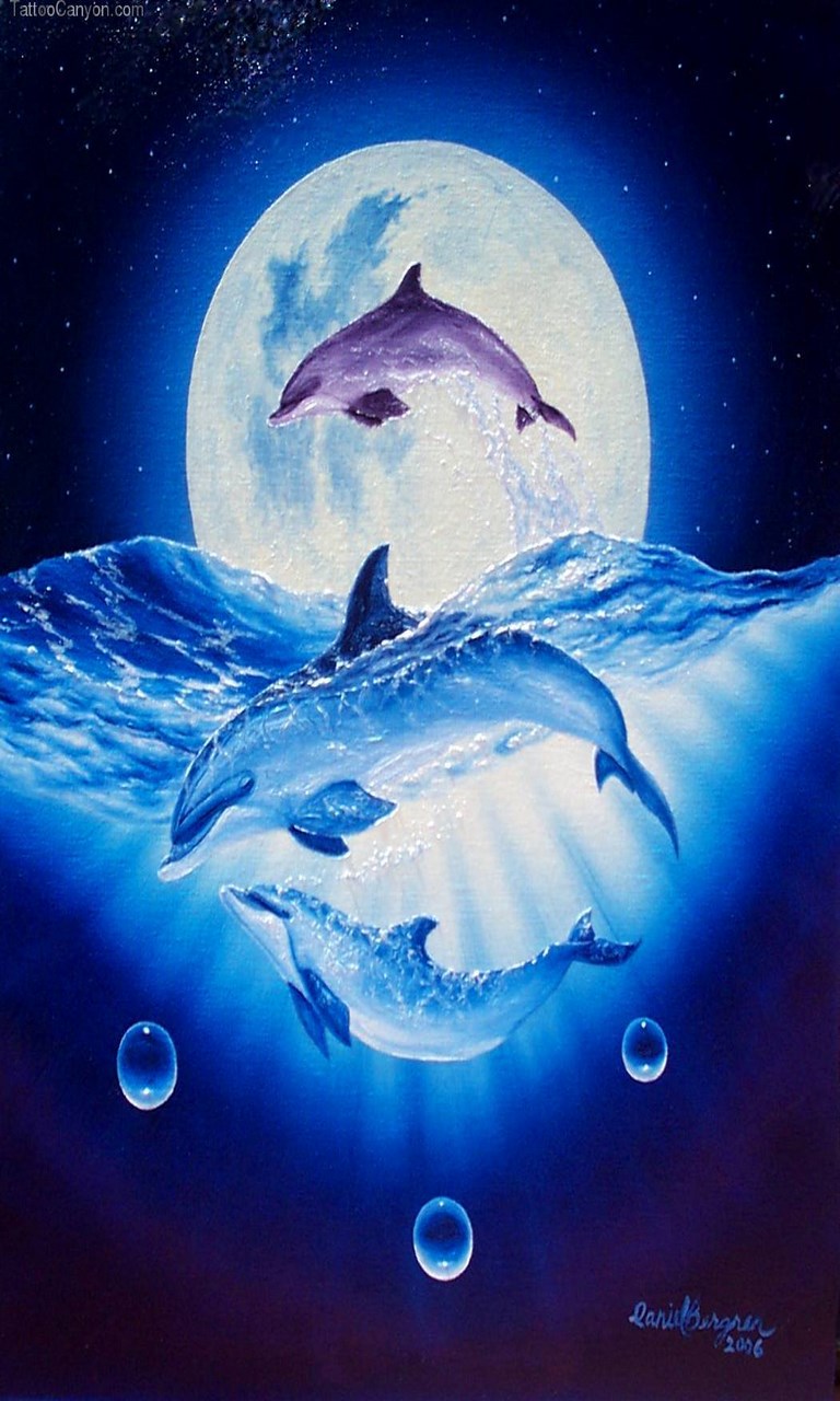 Dolphin Wallpaper 3D for Windows 10 free download on 10 App Store