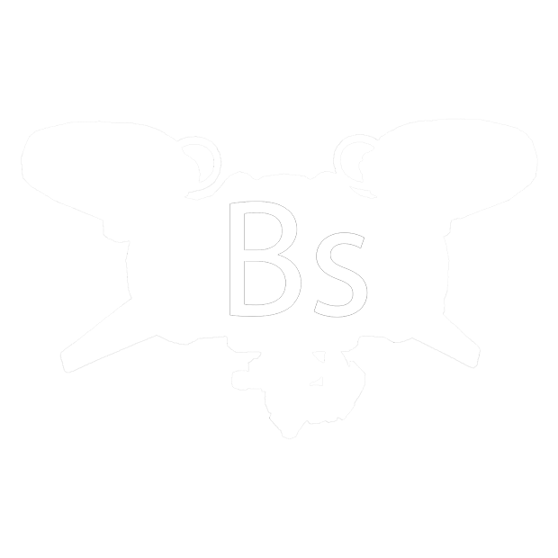 Destiny BankShank: An Item Manager