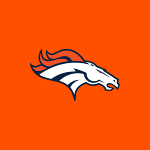 Download Denver Broncos 365