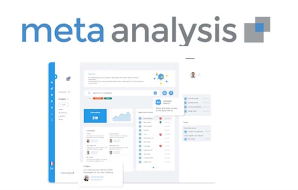 Meta Analysis