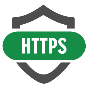Smart HTTPS icon