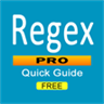 Regex Pro Quick Guide FREE