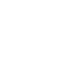 SecurityCam