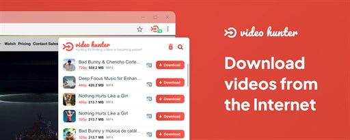 Video Hunter Downloader marquee promo image