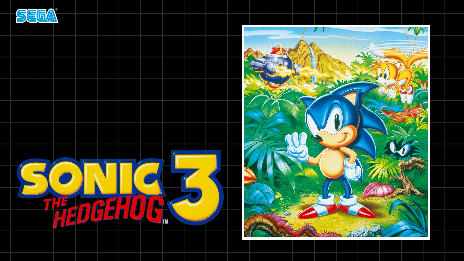 Play sonic 3. Sonic 3 сега. Sonic the Hedgehog 3 сега. Sonic the Hedgehog 3 обложка. Соник 3 1994.