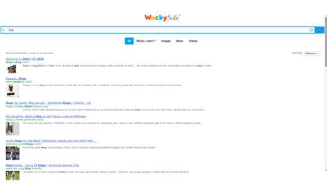 Kids Safe Search Engine - WackySafe.com Screenshots 2