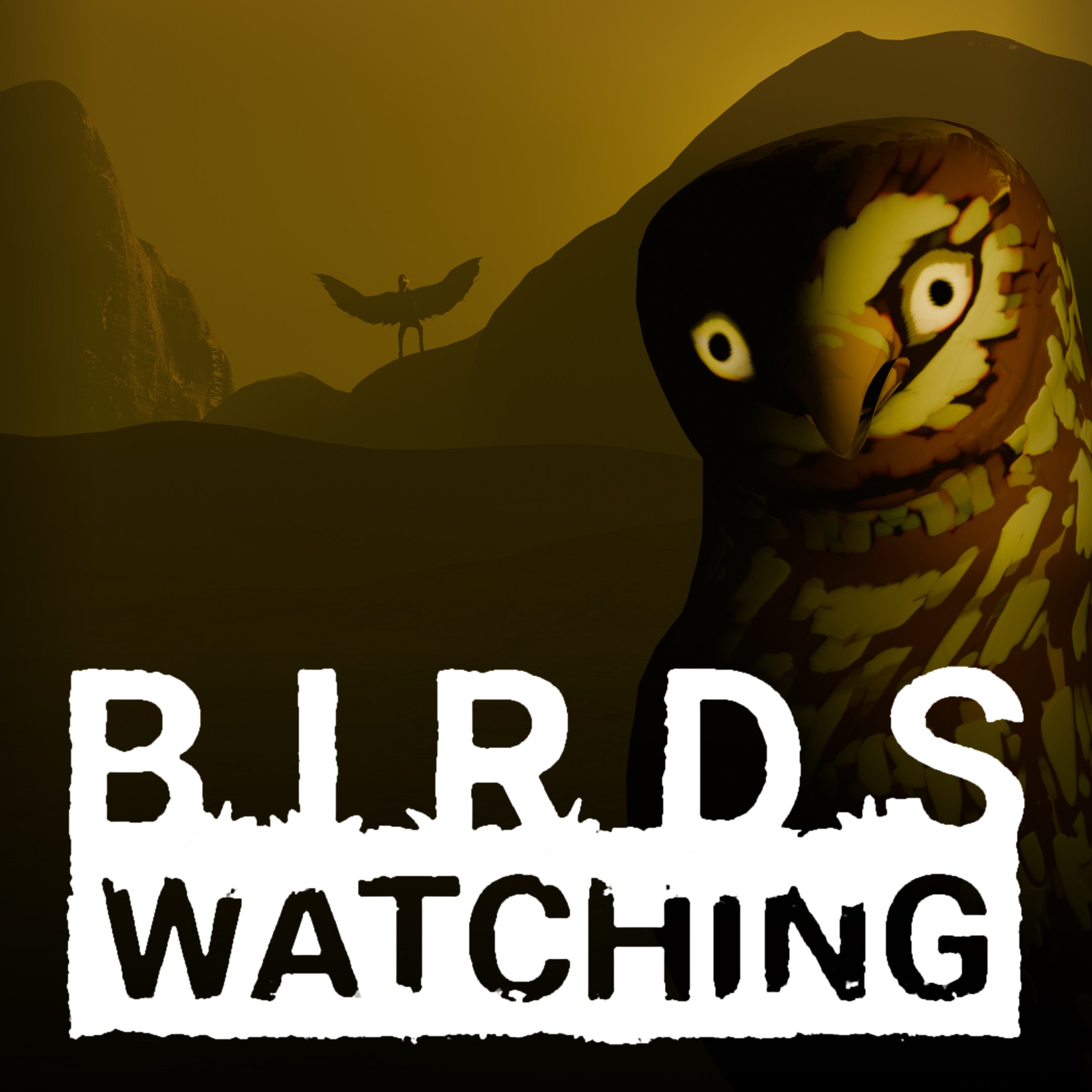Birds Watching