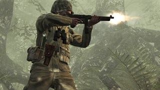 Call of Duty®: World at War (2008) screenshot 4