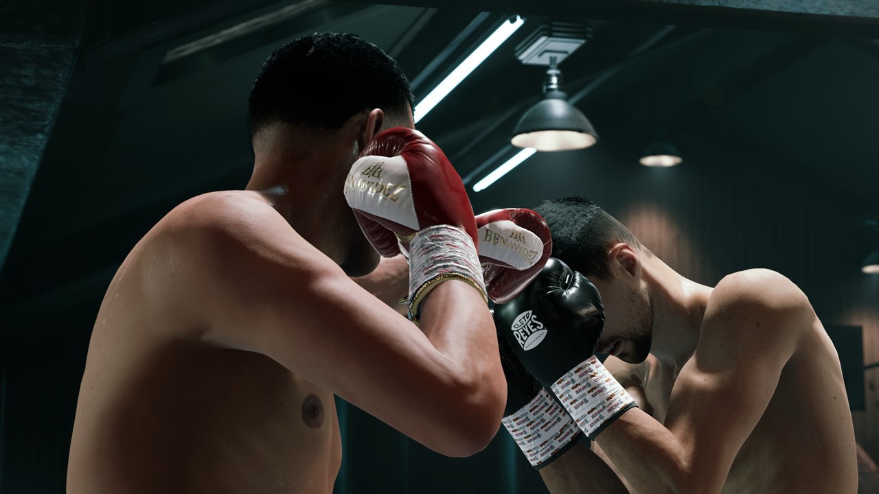 Undisputed - Championship Edition screenshot 10