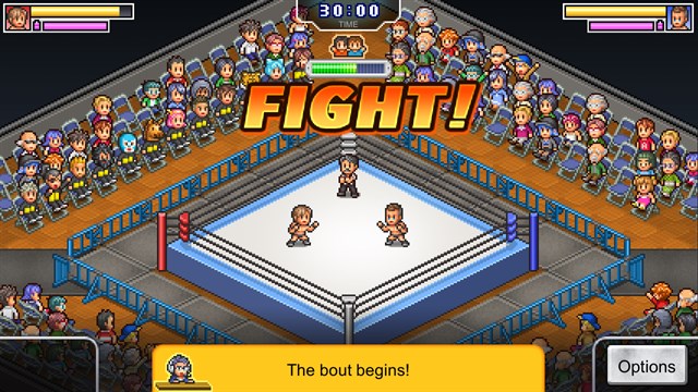 Pro Wrestler Story screenshot 3