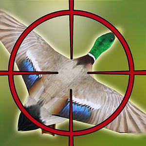 Duck Hunter : Sniper Shoot
