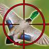 Duck Hunter : Sniper Shoot