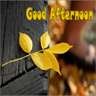 Good Afternoon Messages Images & Text SMS