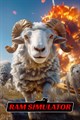 Ram Simulator