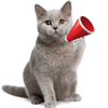 Real Cat Sounds