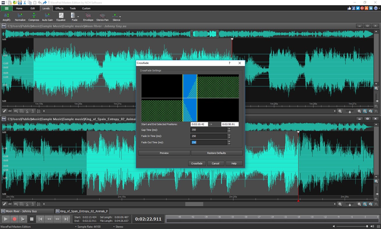 #2. WavePad (Windows) Door: NCH Software