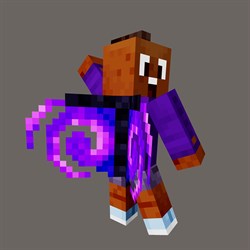 Nether Portal Wings
