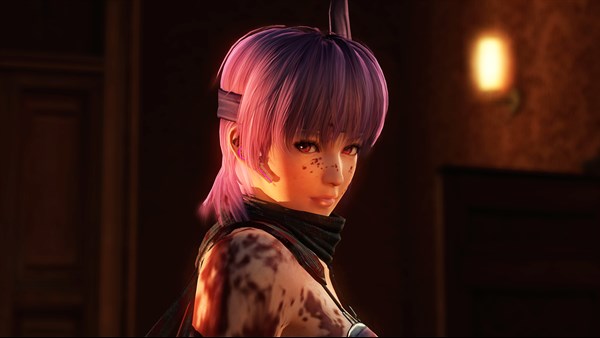 NINJA GAIDEN Σ — 14