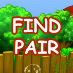 Find Pair