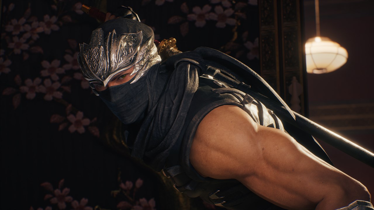 NINJA GAIDEN 2 Black screenshot 8