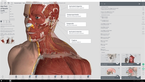 Complete Anatomy Screenshot